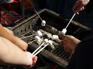PA114277.jpg