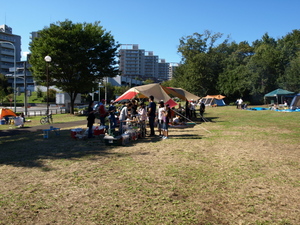 PA114278.jpg